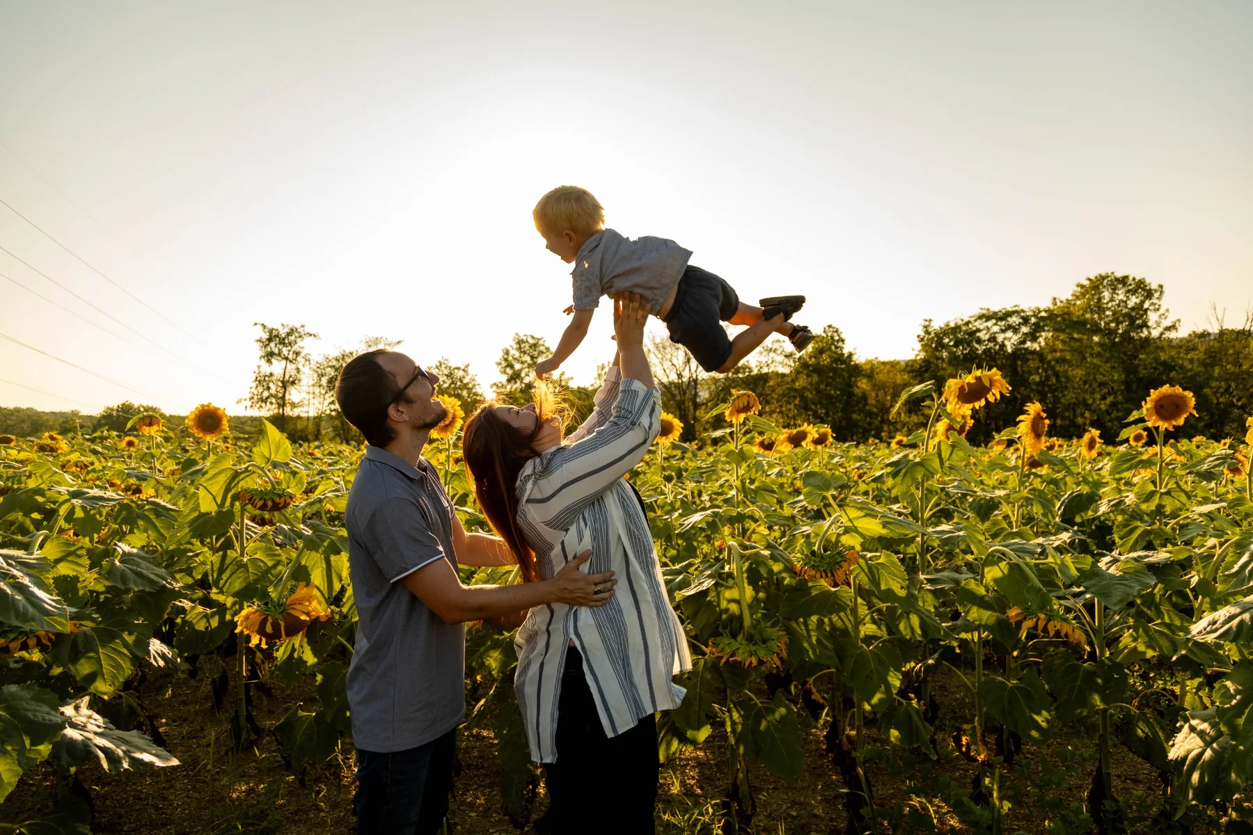 Family playing together in a sunflower field
